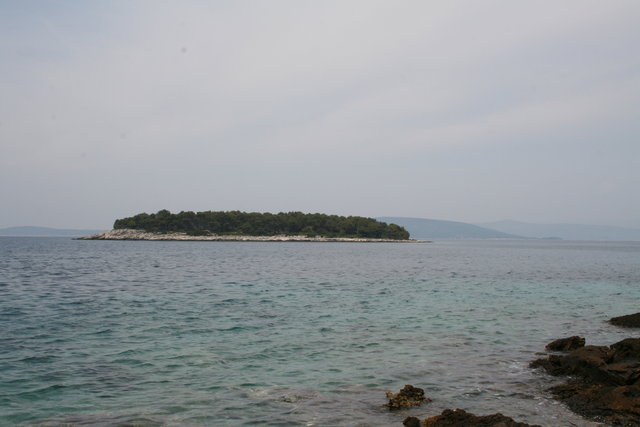 gal/cro 08/small-IMG_4621.JPG